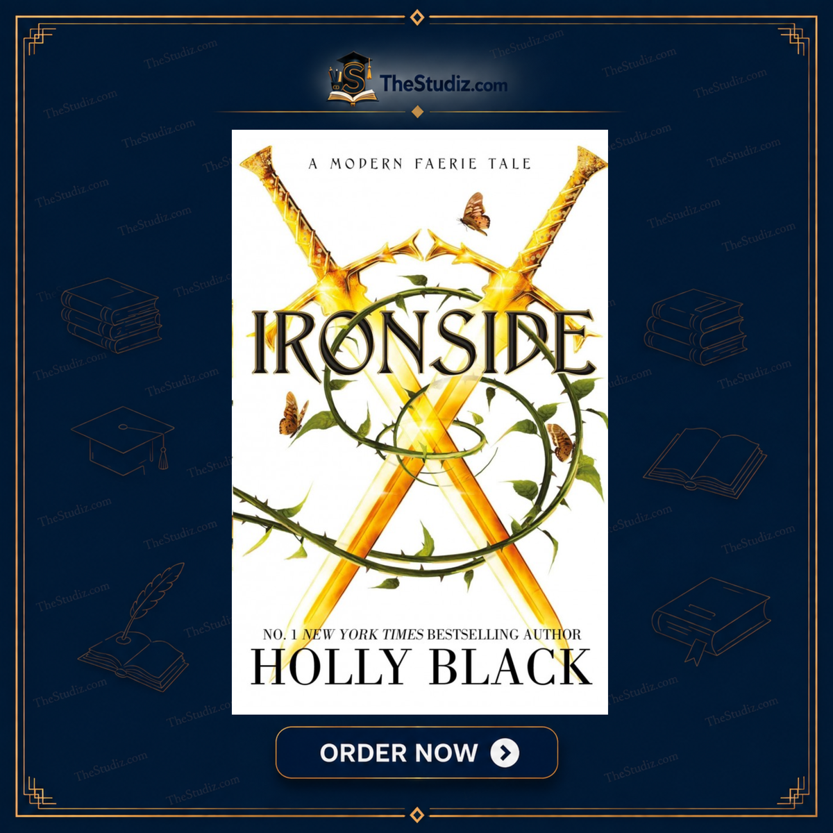 Ironside by Holly Black