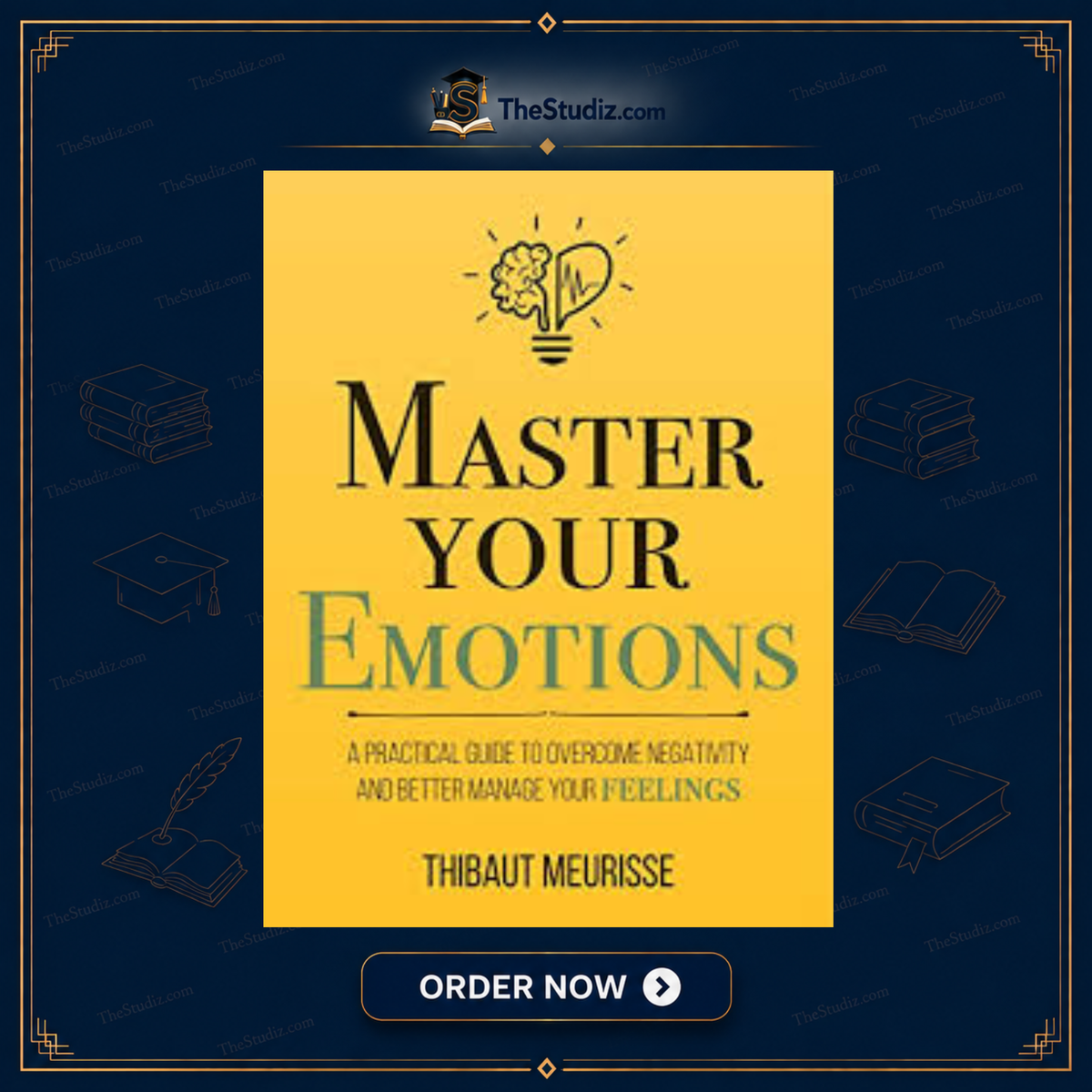 Master Your Emotions: A Practical Guide to Overcome Negativity and Better Manage Your Feelings by Thibaut Meurisse