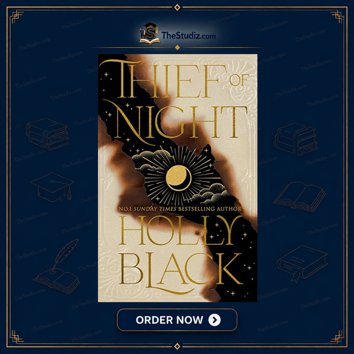 Thief of Night by Holly Black