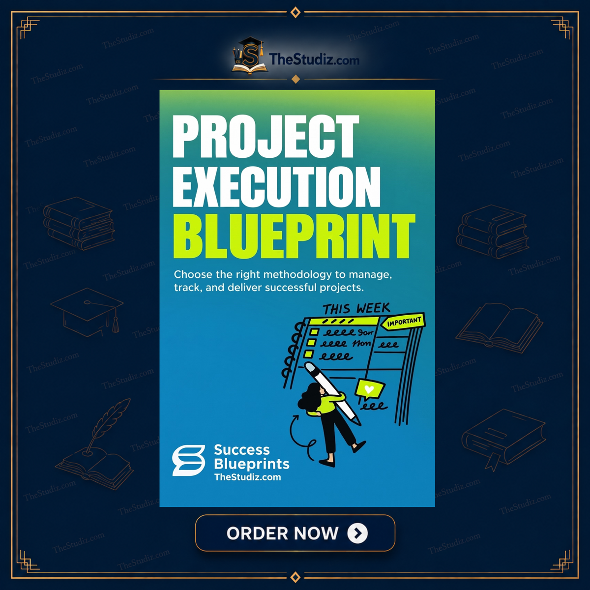 Project Execution by Success Blueprints